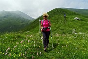 77 Scendendo sul 163 dal Mistri al Telini